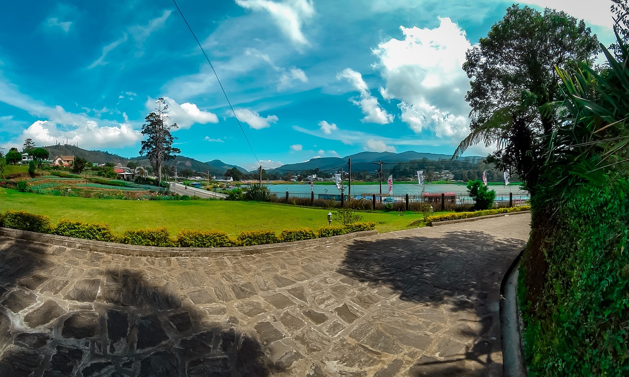 Nuwara Eliya tea country